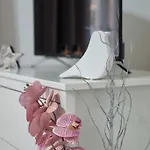 Finnem Rentals Kyjevska